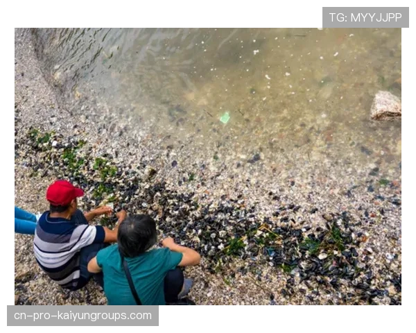 台风过后惠州海滩刷屏,海鲜大丰收!,惠州的台风要什么时候来什么时候走 台风过后惠州海滩刷屏,海鲜大丰收!,惠州的台风要什么时候来什么时候走